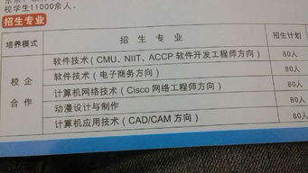 大學(xué)軟件測試方向?qū)I(yè)選擇指南 計(jì)算機(jī)網(wǎng)絡(luò)、計(jì)算機(jī)應(yīng)用與軟件技術(shù)深度解析