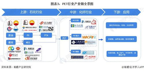 預見2023 中國PET行業全景圖譜——市場現狀、競爭格局與發展趨勢解析